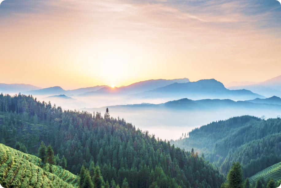 Establish an environmental management system